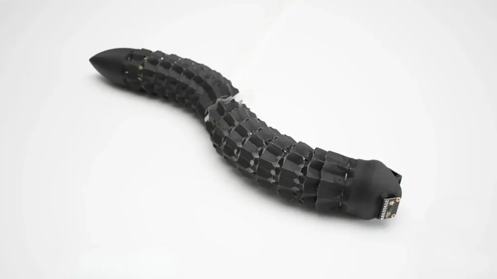 Engineers in Denmark create a soft robot inspired by earthworms