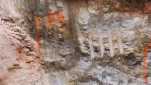 Rare Earths Americas mejora suministro de tierras raras entre EE. UU. y Brasil