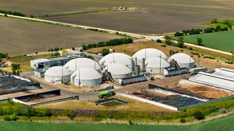 El suministro directo de la planta de biogás de Szarvas