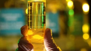 Petrobras y Vale fortalecen alianza para el suministro de combustibles renovables