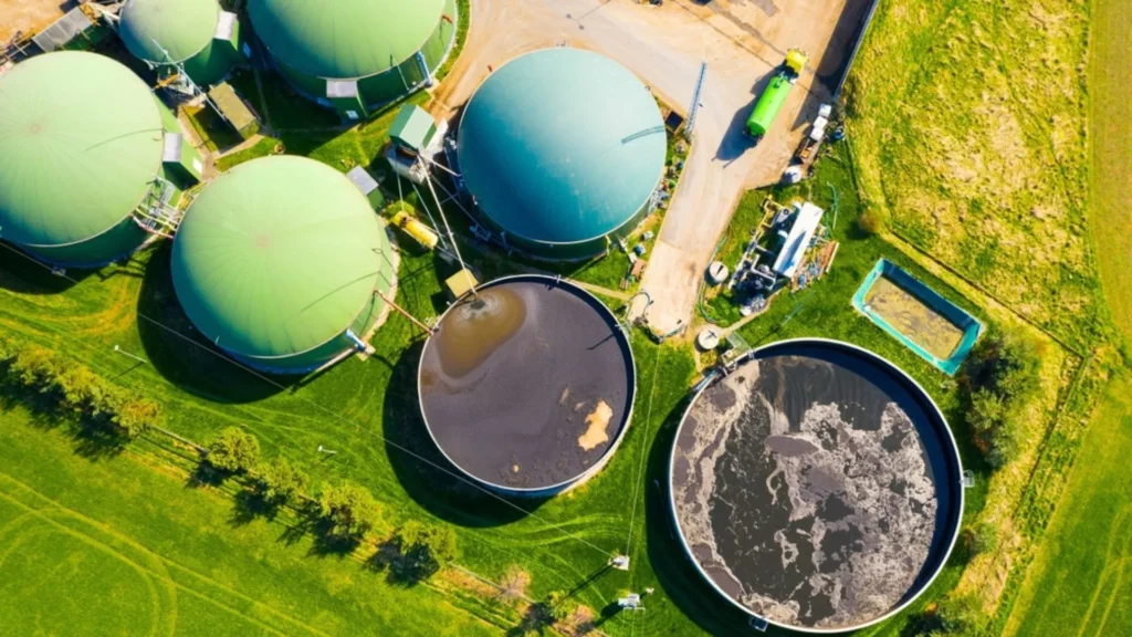 Préstamo para planta de biomasa