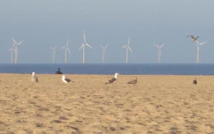 Las energías renovables superan el 52 % de la generación eléctrica del Reino Unido