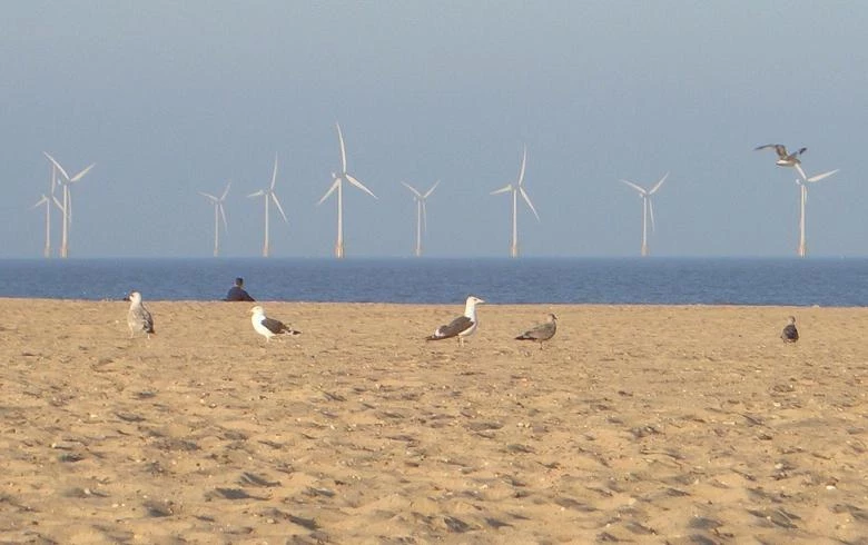 Las energías renovables consolidan su liderazgo al superar el 52 % de la generación eléctrica del Reino Unido