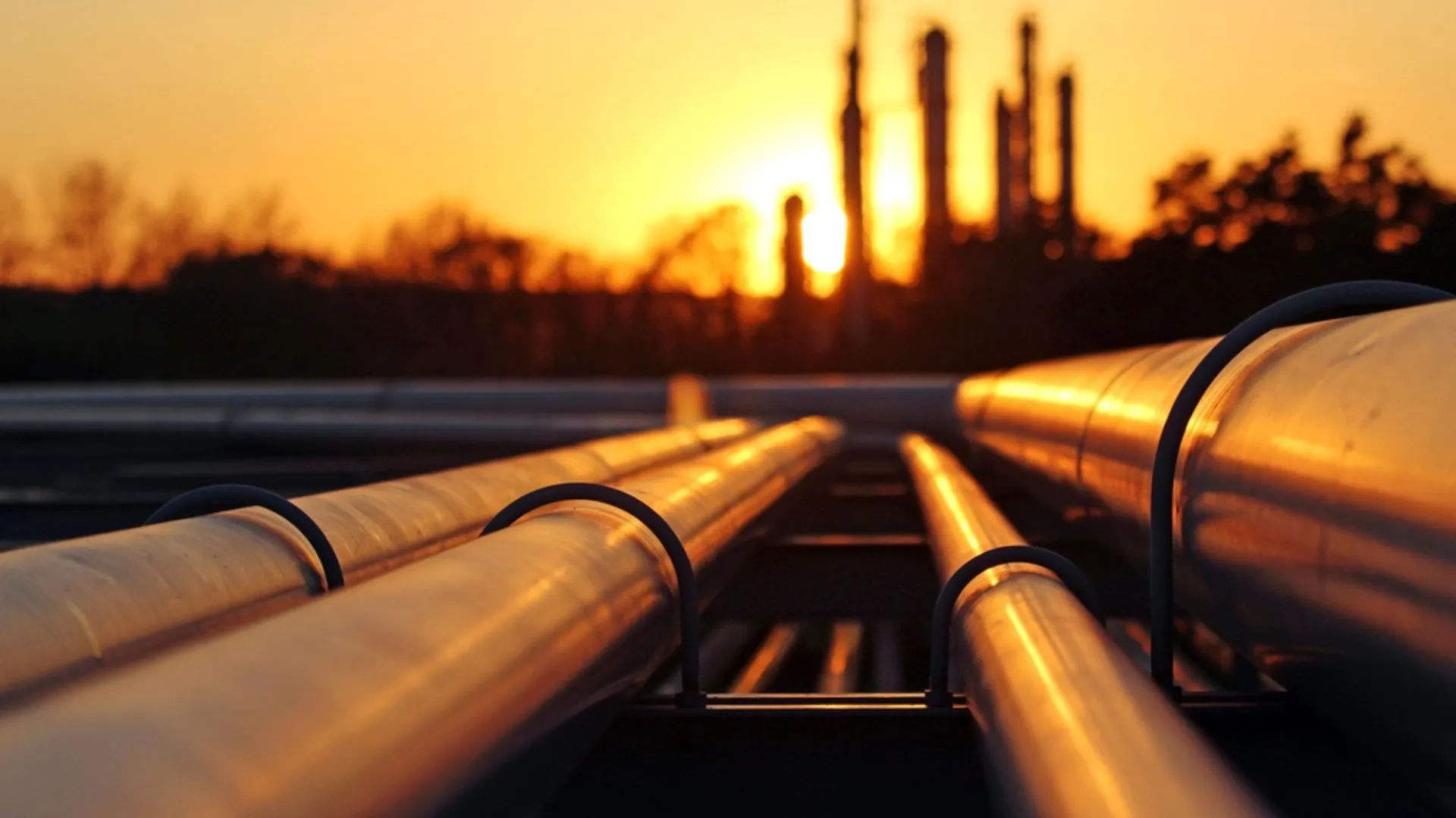 Estudio de viabilidad del proyecto del gasoducto transahariano revalidado