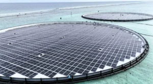 Ocean Sun y ACEN-Silverwolf impulsarán proyectos solares flotantes en Asia