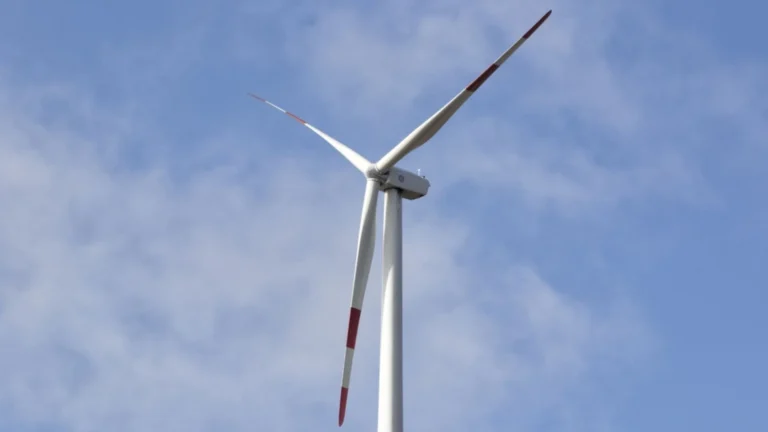 Francia licita 10 GW eólicos offshore hasta 2035 noticia