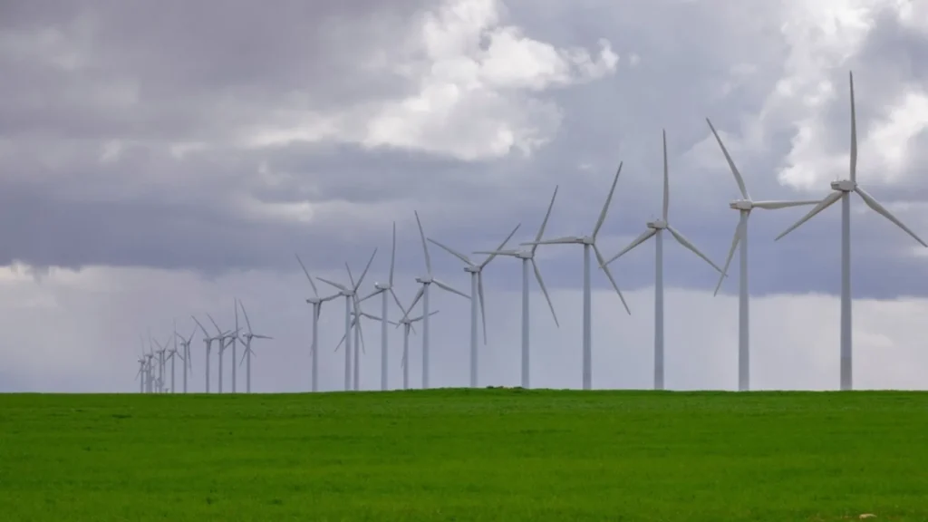 Fundaciones de protección de la naturaleza
