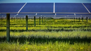 Geronimo Power impulsa nuevo sistema solar en Michigan