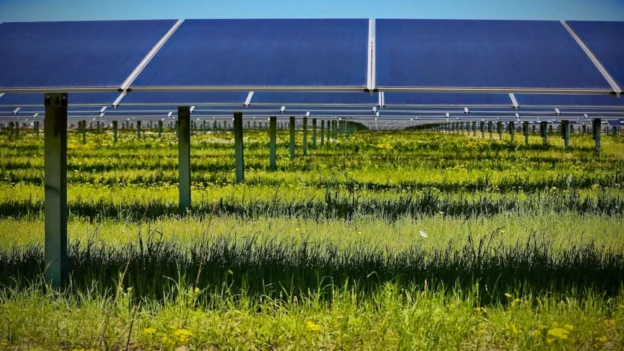 Geronimo Power construye planta solar en Jackson