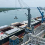 Grúa electrica LPS 550