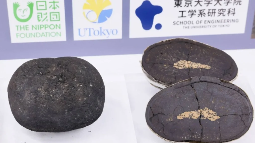metales raros en Tokio
