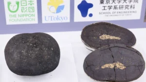 Minerales raros en Tokio