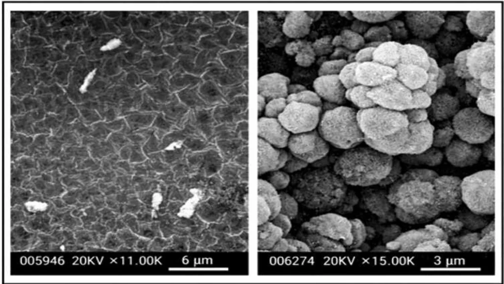 Corrosion in Fixed Equipment