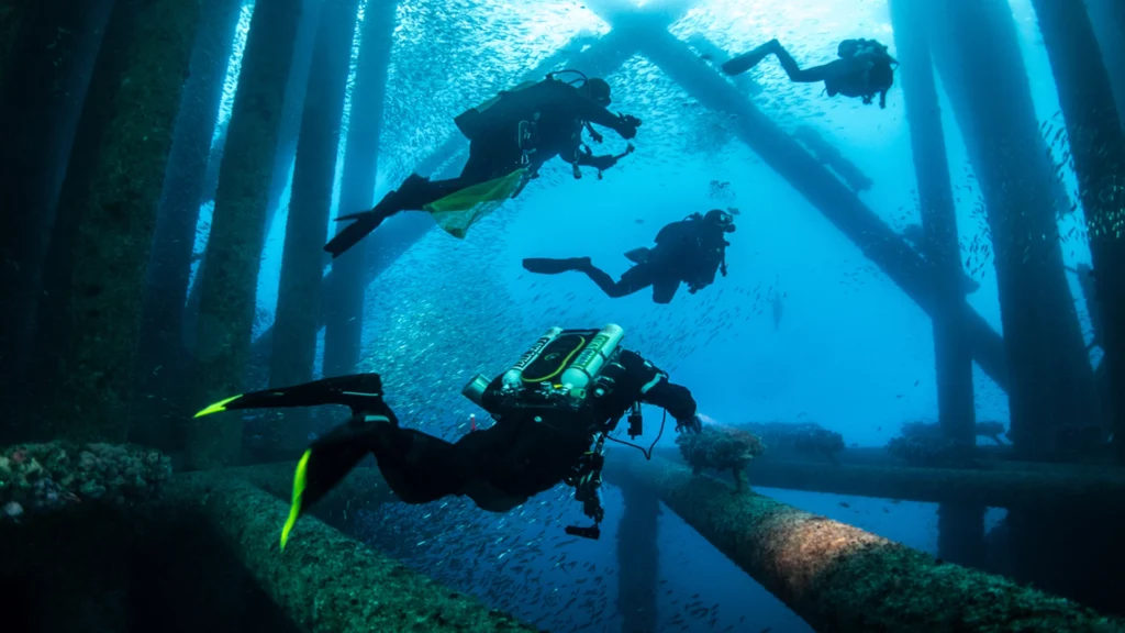 In-service underwater inspection: Monitoring and structural integrity