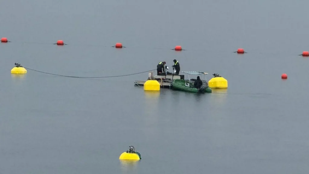 Sistema de boyas en el laboratorio de EDP
