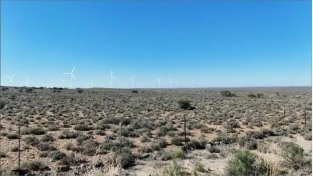 Instalación eólica Carissa