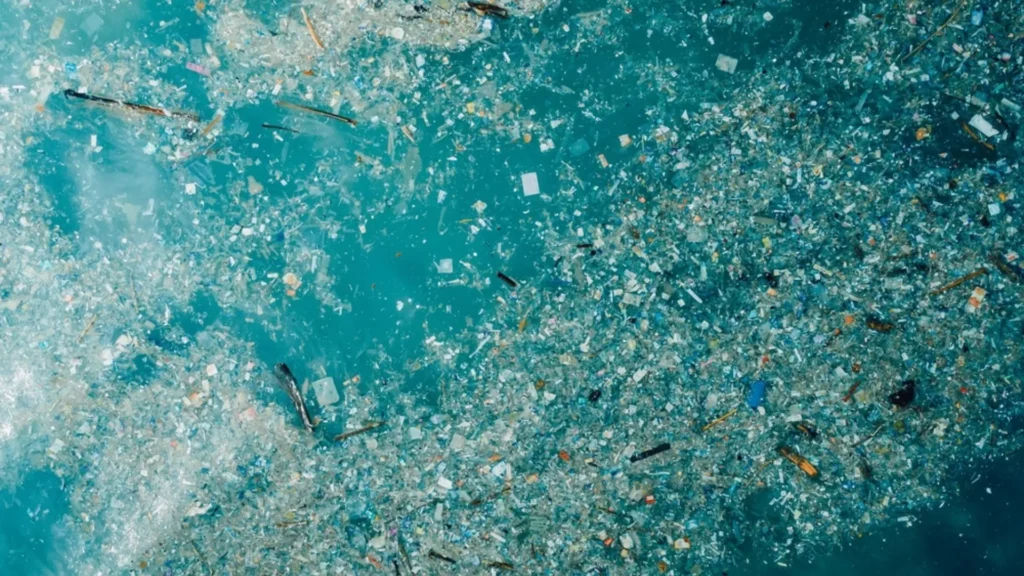 Isla de basura amenaza el ecosistema del Pacifico Norte