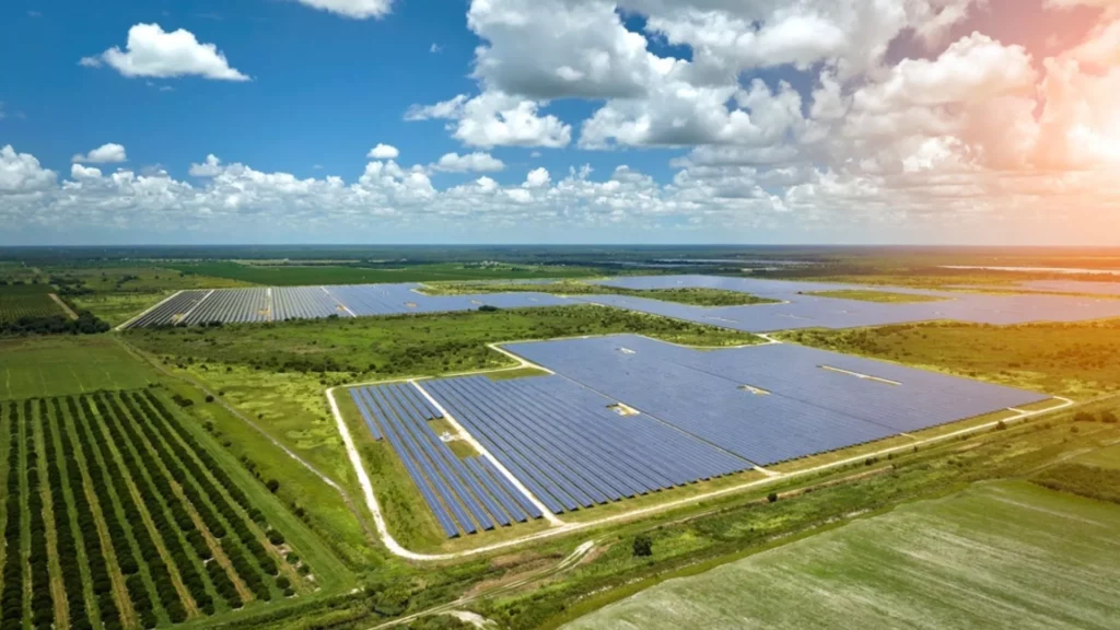Paneles solares en cultivos