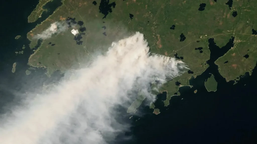 Incendios forestales