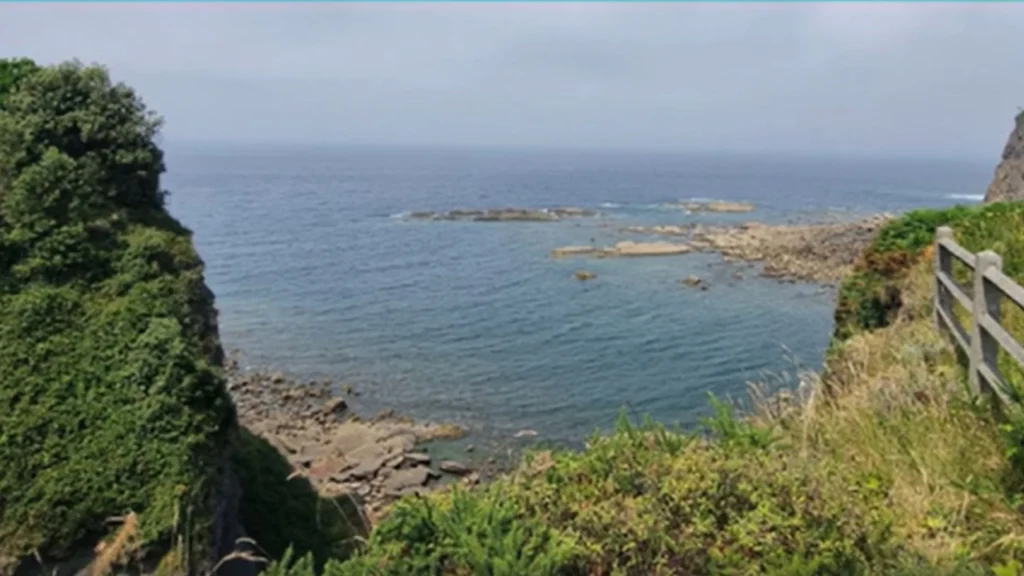 Carnegie Clean Energy secures navigation permits for its wave technology in the Basque Country