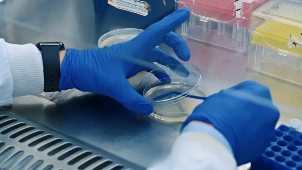 La bioingeniería de bacterias puede solventar un problema de eficiencia energética