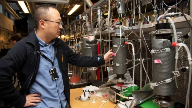 La biotecnología introducir avances de alta calidad
