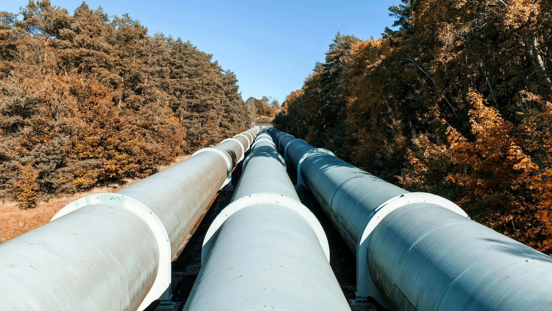 La desvinculación de Momentum Midstream