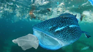 Study detects 27 million tons of nanoplastics in the North Atlantic Ocean