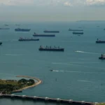 La drástica reducción del transporte marítimo en el estrecho de Ormuz
