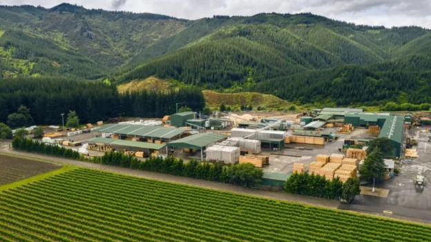 La estrategia de convertir residuos forestales en biocombustible de OneFortyOne
