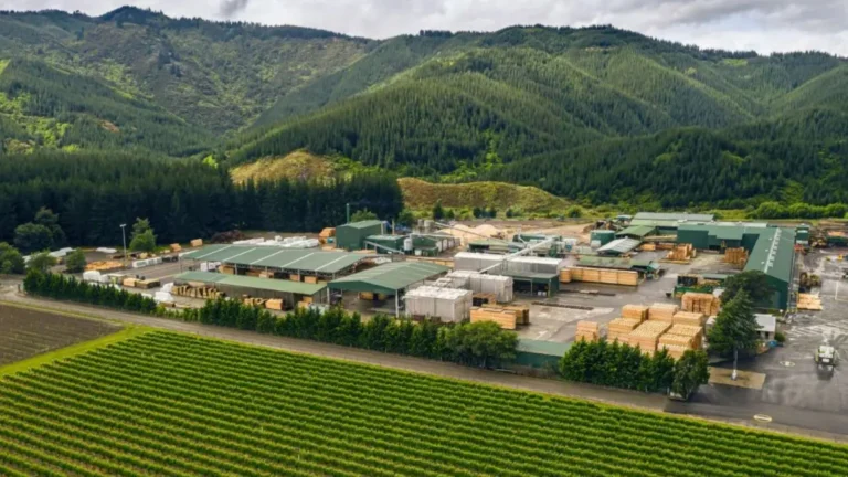 La estrategia de convertir residuos forestales en biocombustible de OneFortyOne
