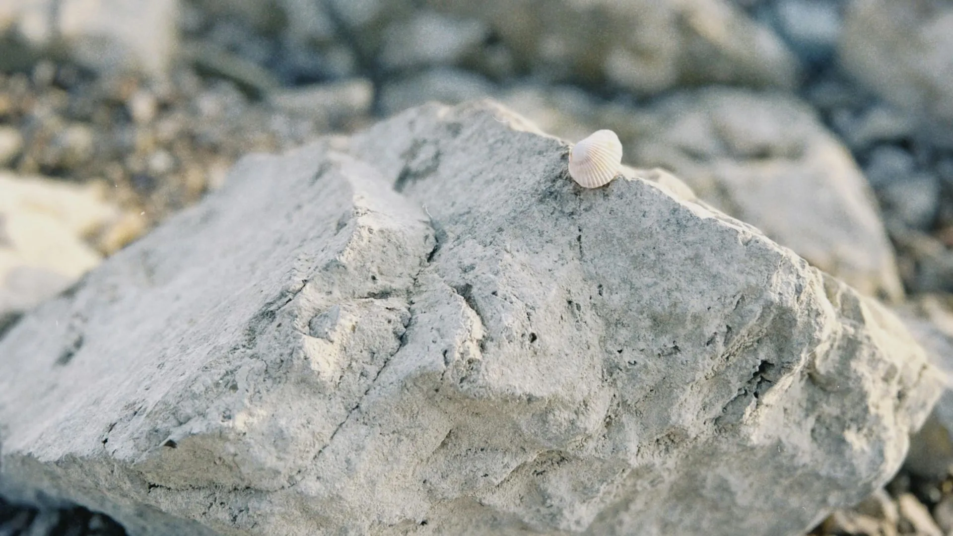 La expansión en el mercado de minerales críticos