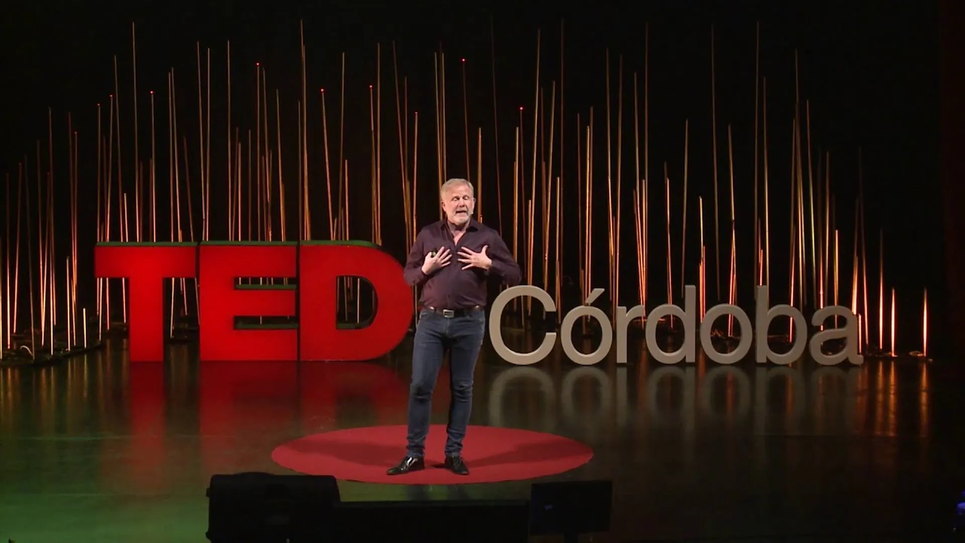 Tres competencias básicas para el futuro | Pablo Heinig | TEDxCordoba