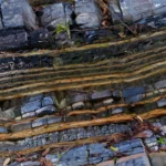 La identificación de recursos de gas y petróleo en la Formación Bossier