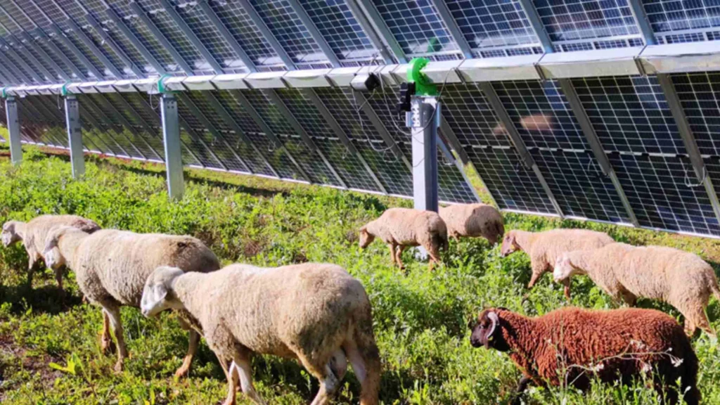 Las tres plantas solares en Sevilla