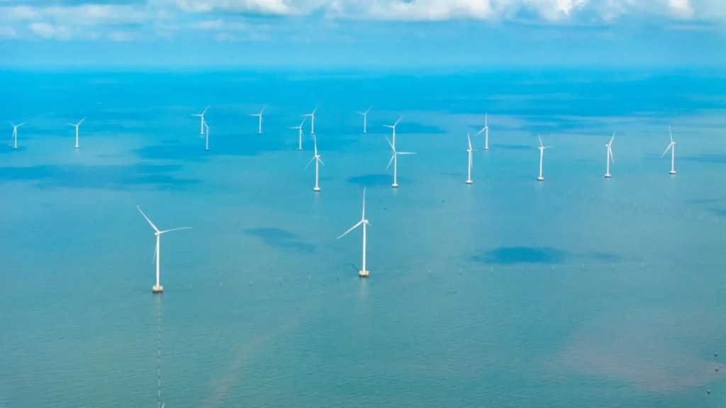 La integración de la naturaleza en parques eólicos marinos