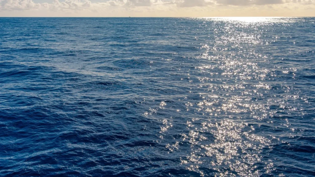 Petrobras incrementa su participación en el Campo Compartido de Tupi aprobada por ANP