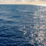 La participación en el Campo Compartido de Tupi tras la nueva adenda por Petrobras