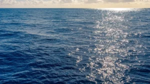 Petrobras incrementa su participación en el Campo Compartido de Tupi aprobada por ANP