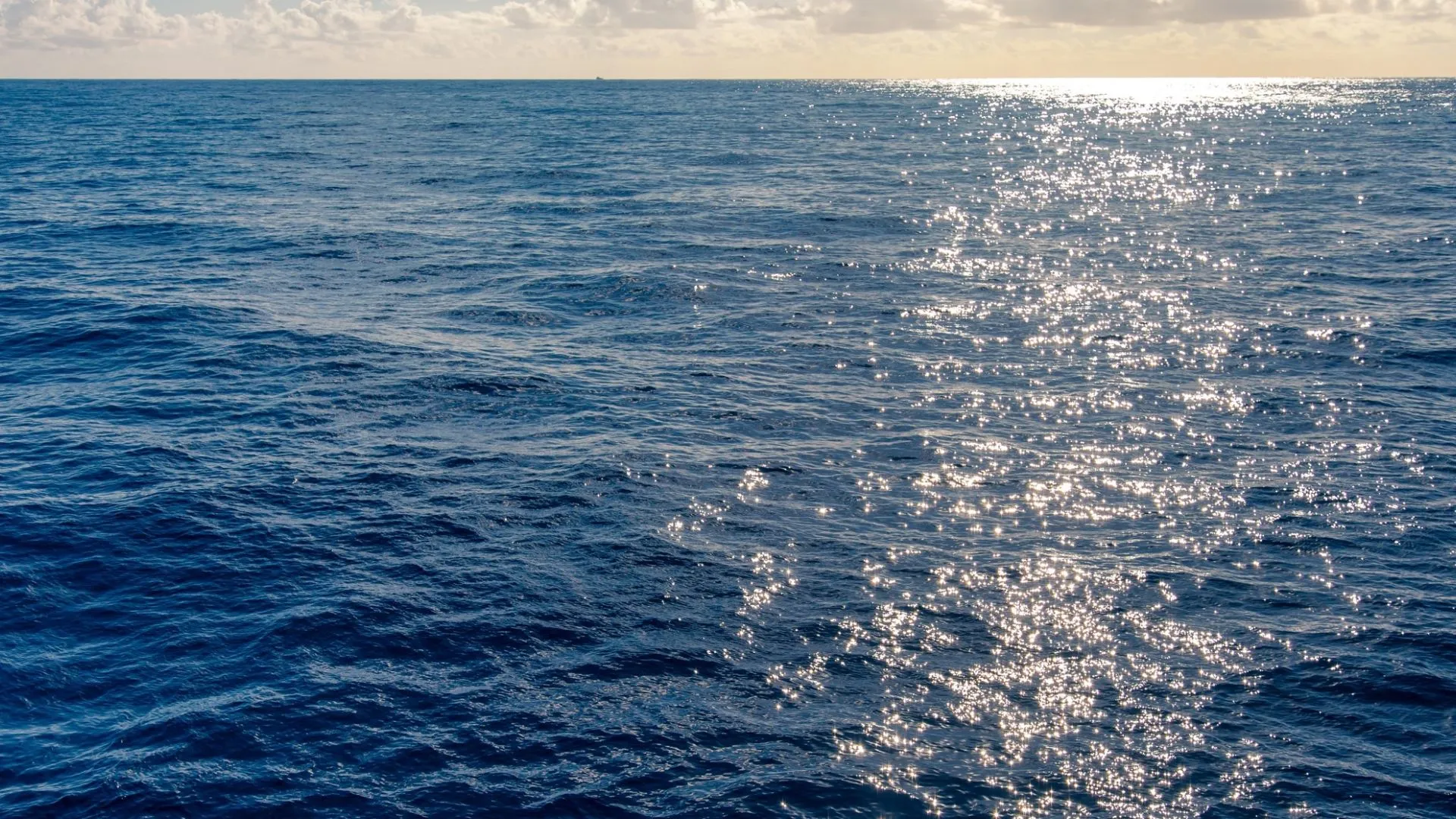 La participación en el Campo Compartido de Tupi tras la nueva adenda por Petrobras