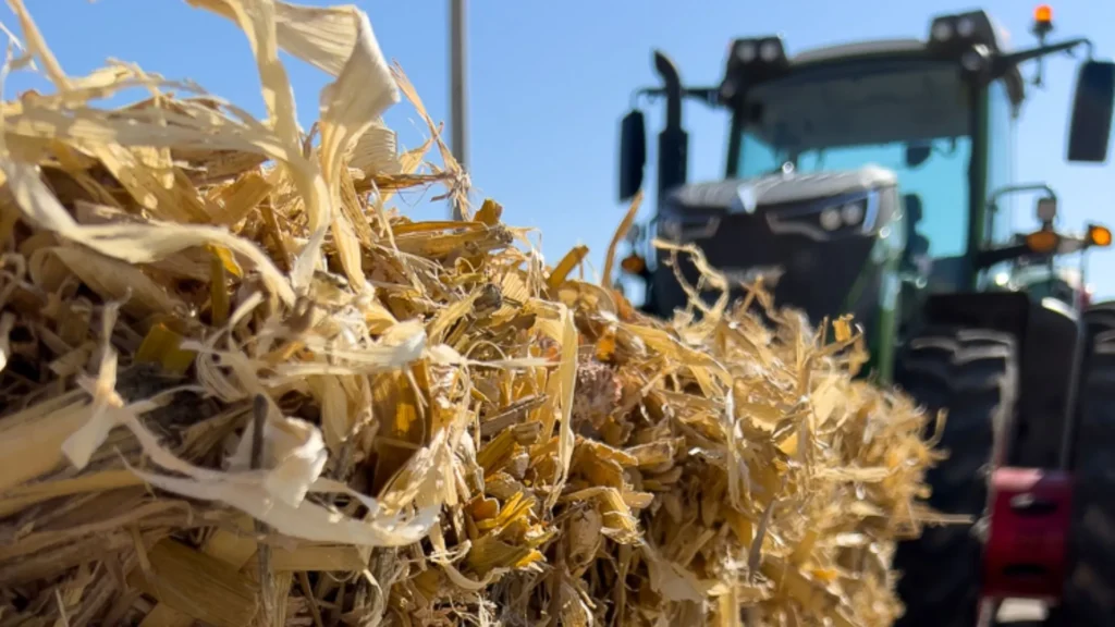 La planta piloto de biocombustibles