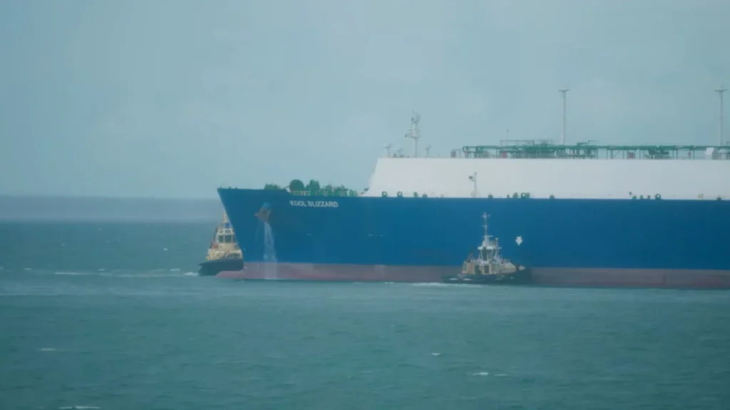 La preservación de las reservas estables y la captura de carbono por Santos