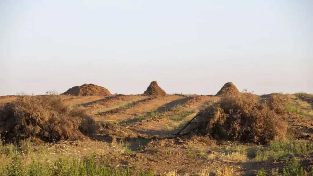 La producción de energía térmica renovable de Magnon