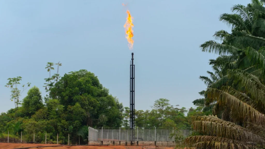 La suspensión de explotación de gas a Ecopetrol y Petrobras por el Tribunal de Santa Marta