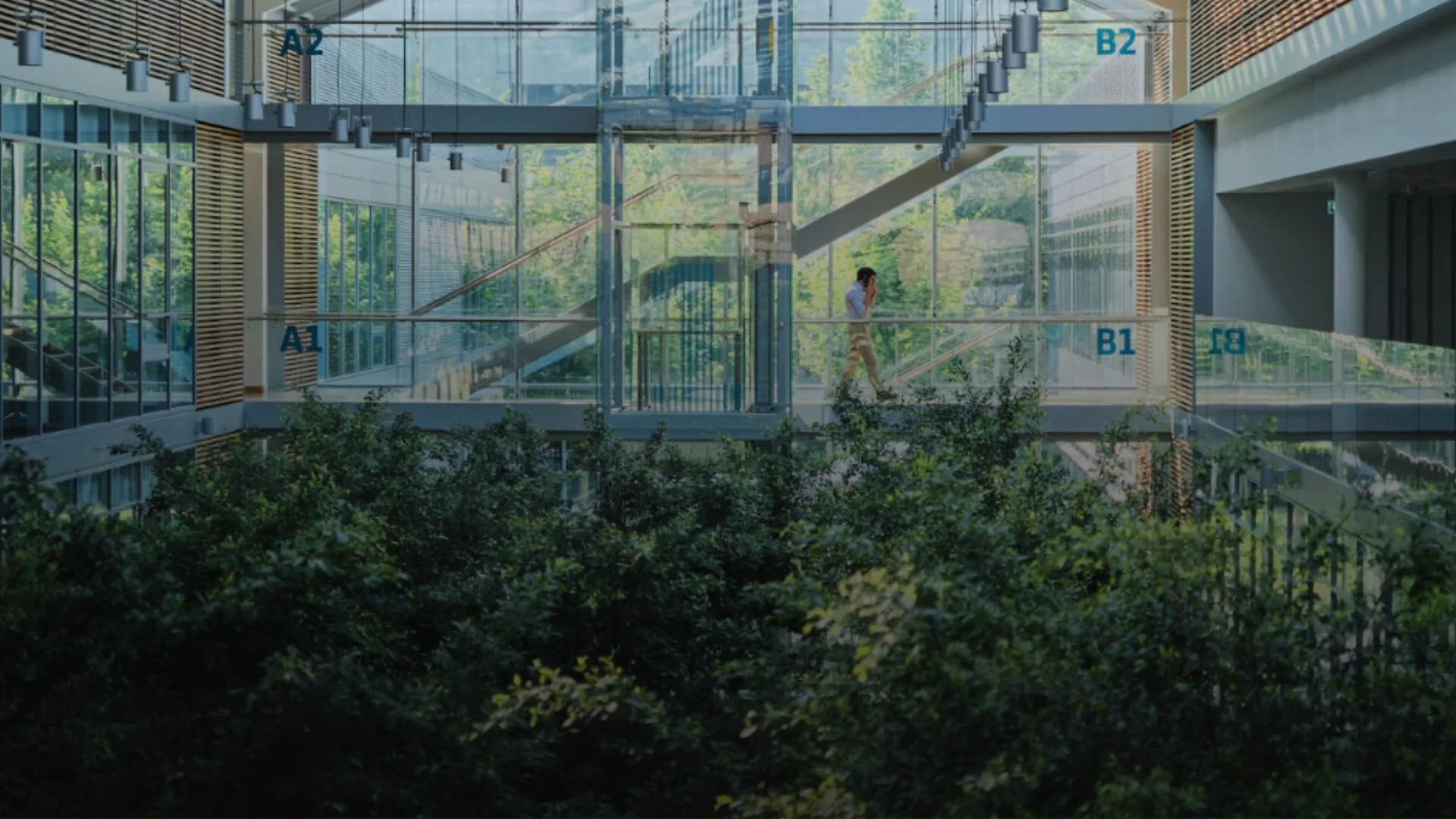 La trazabilidad garantizada del proyecto Eastern Green Link 2