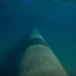 Lamprell reemplazará tuberías submarinas para ONGC