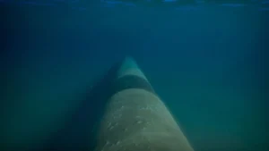 Lamprell ejecutará reemplazo de ductos submarinos para ONGC