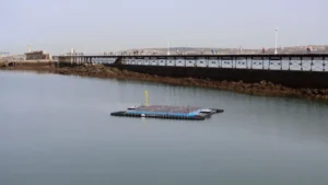 Landatu Solar valida SEAMOD en Bilbao con energía solar flotante