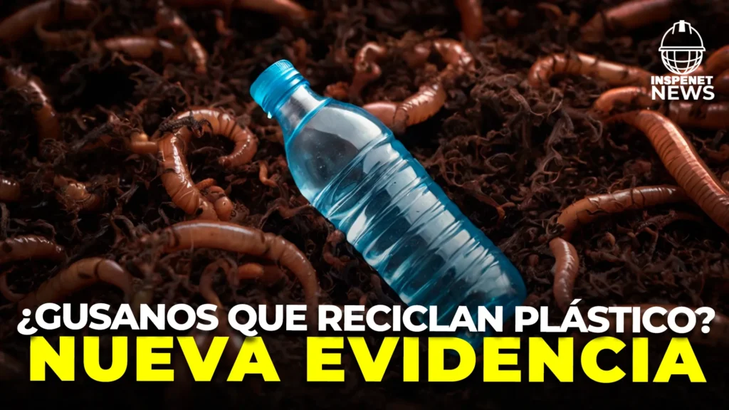 Estudio desmiente hallazgos de degradación de plástico con enzimas