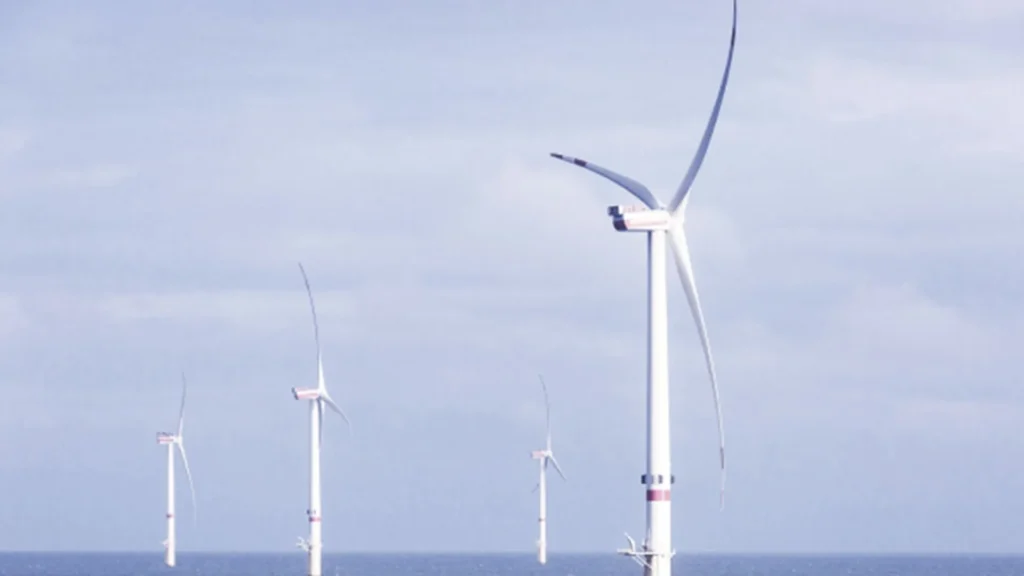 Las medidas preventivas de Proyecto Eólico Marino Hai Long